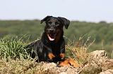 BEAUCERON 765